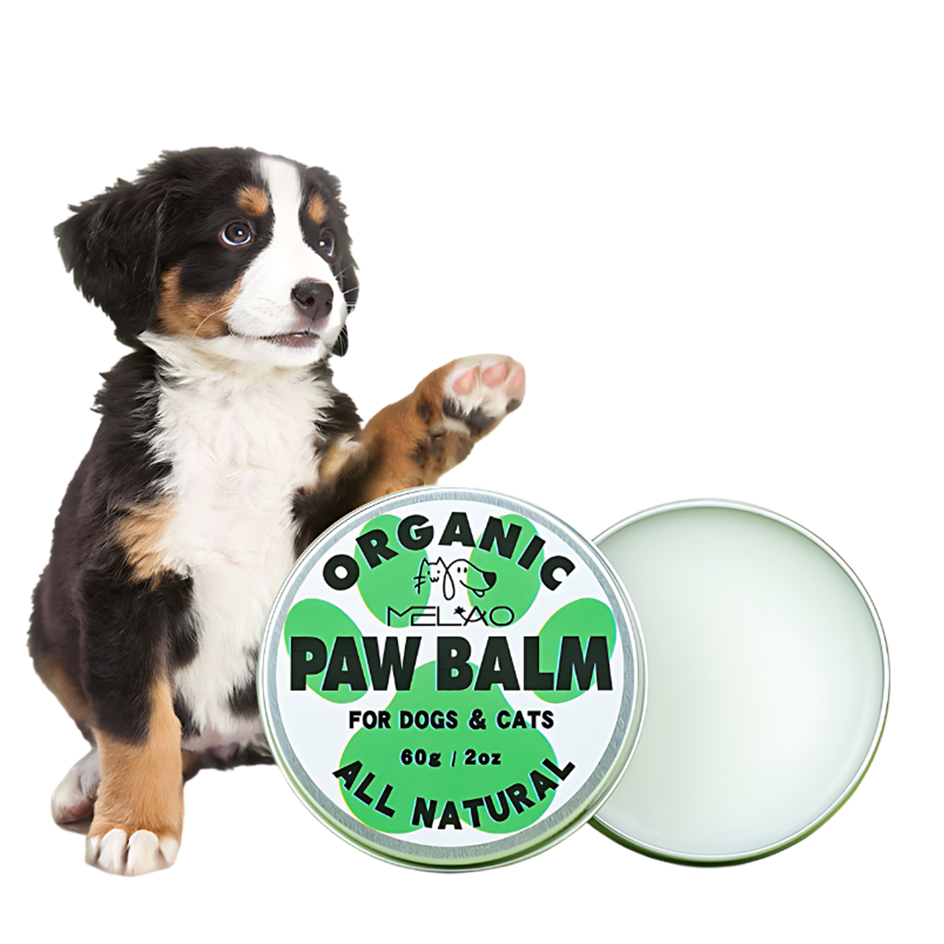 Young dog sitting beside an open tin of organic paw balm for dogs and cats, labelled 'Organic Paw Balm - All Natural'. Visit dogtags.co.uk for personalised dog accessories.